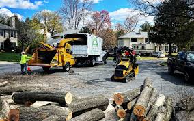 Best Tree Preservation Services  in Pingree Grove, IL